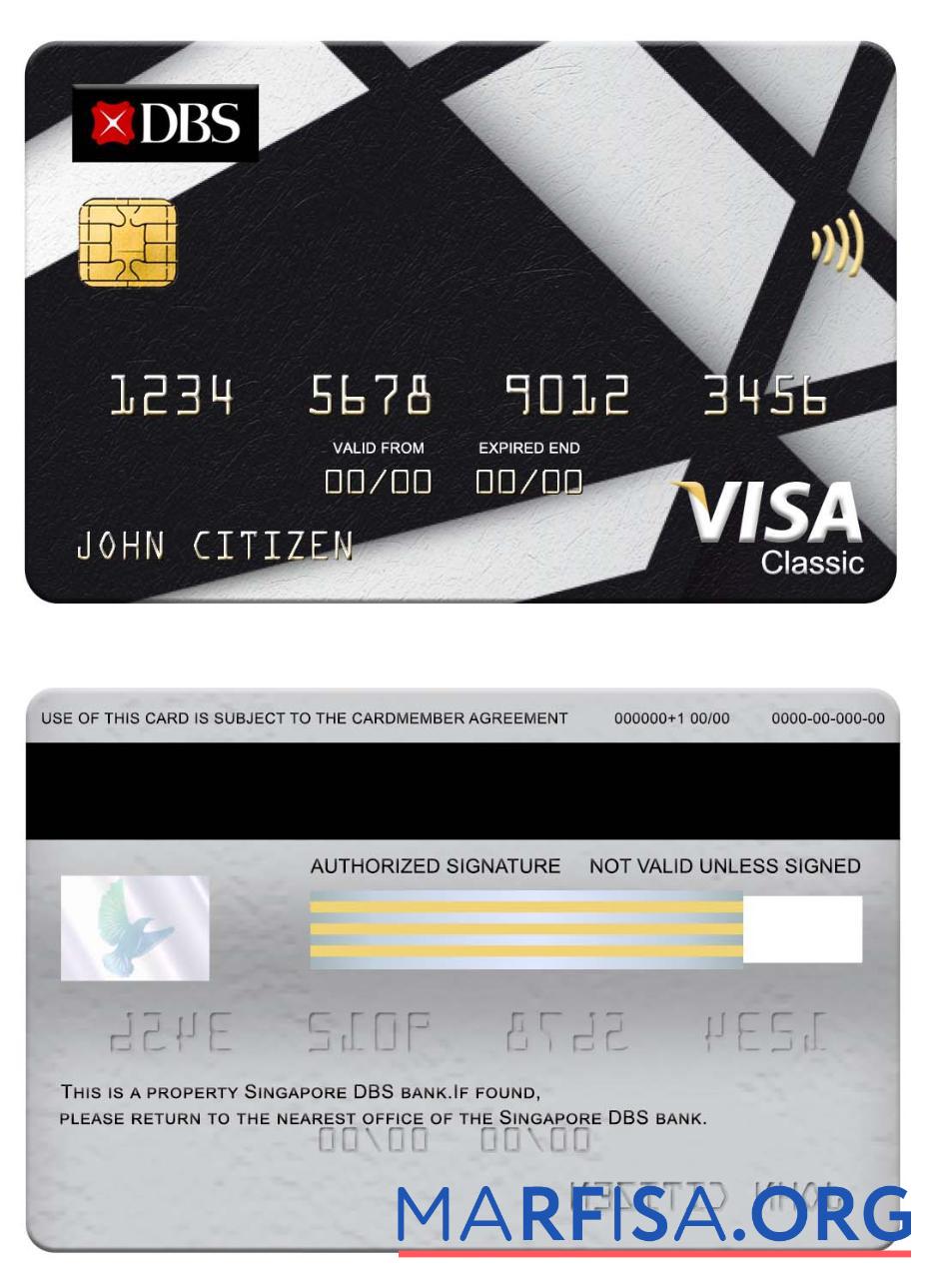 Realistic Singapore DBS bank visa classic card example